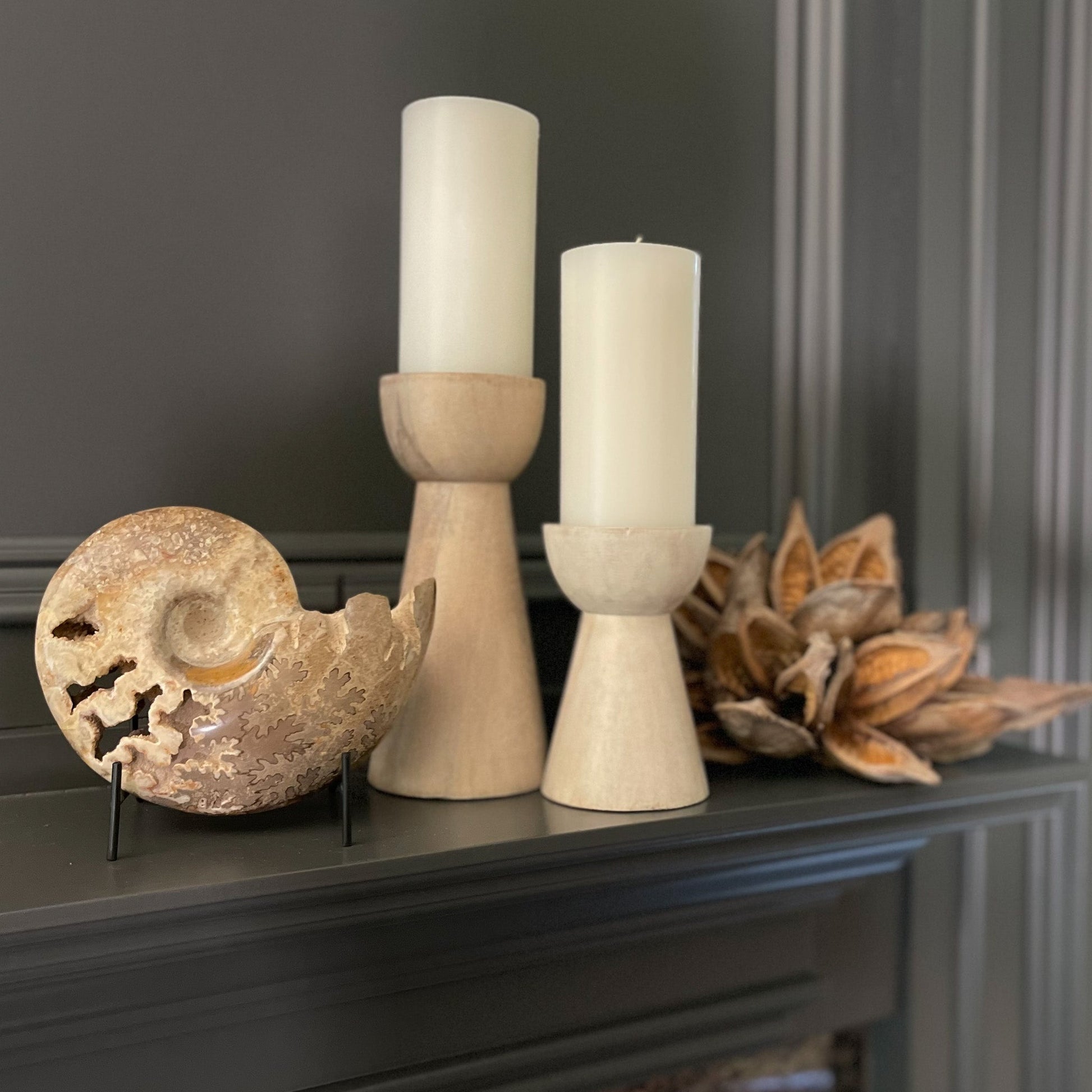Moroccan Fossil Ammonite, Fossil Home Decor, Natural Home Accents, Home Accents OKC, Mantel Styling Ideas