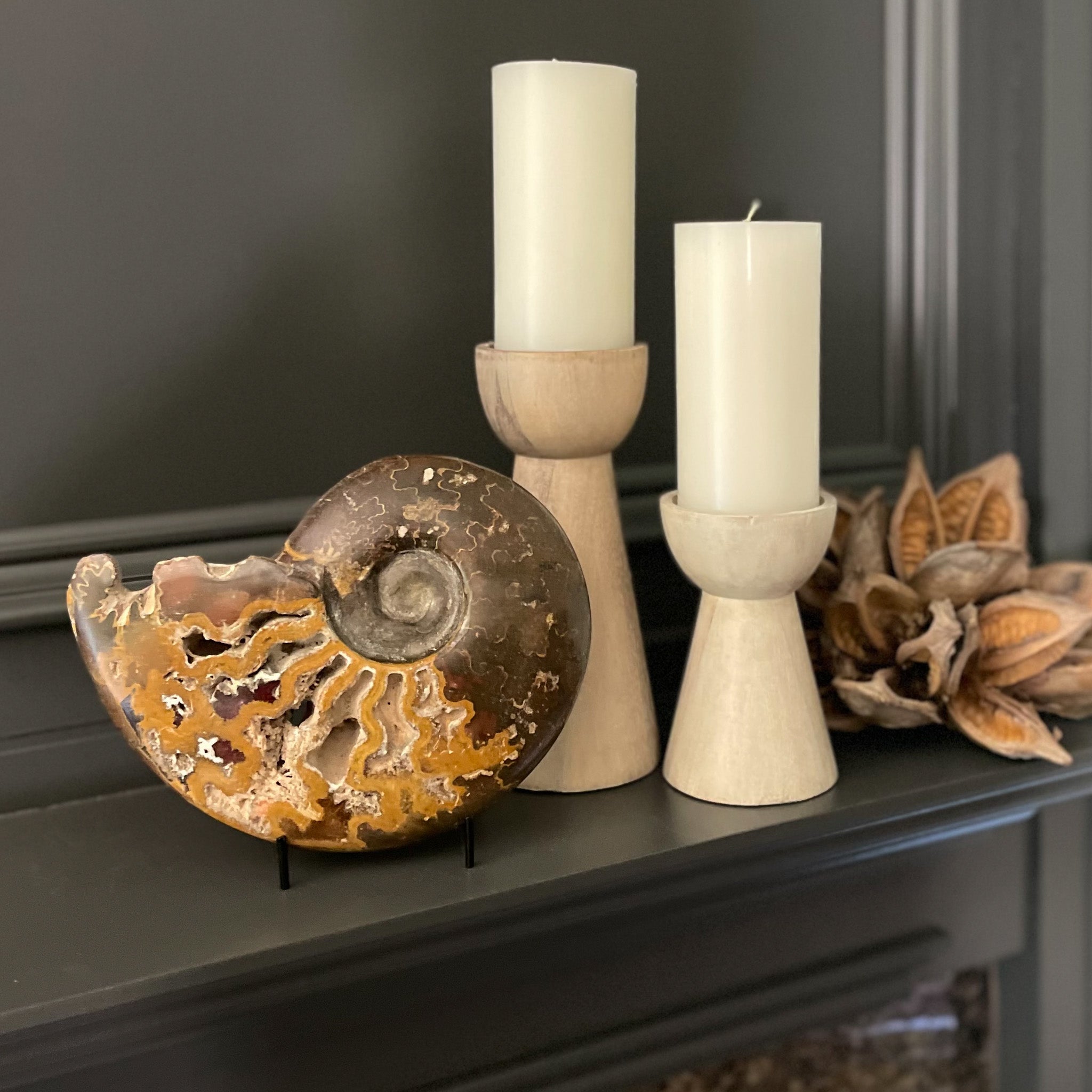  Moroccan Fossilized Ammonite, Mantel Styline Ideas, Natural Home Accents, Home Accents OKC