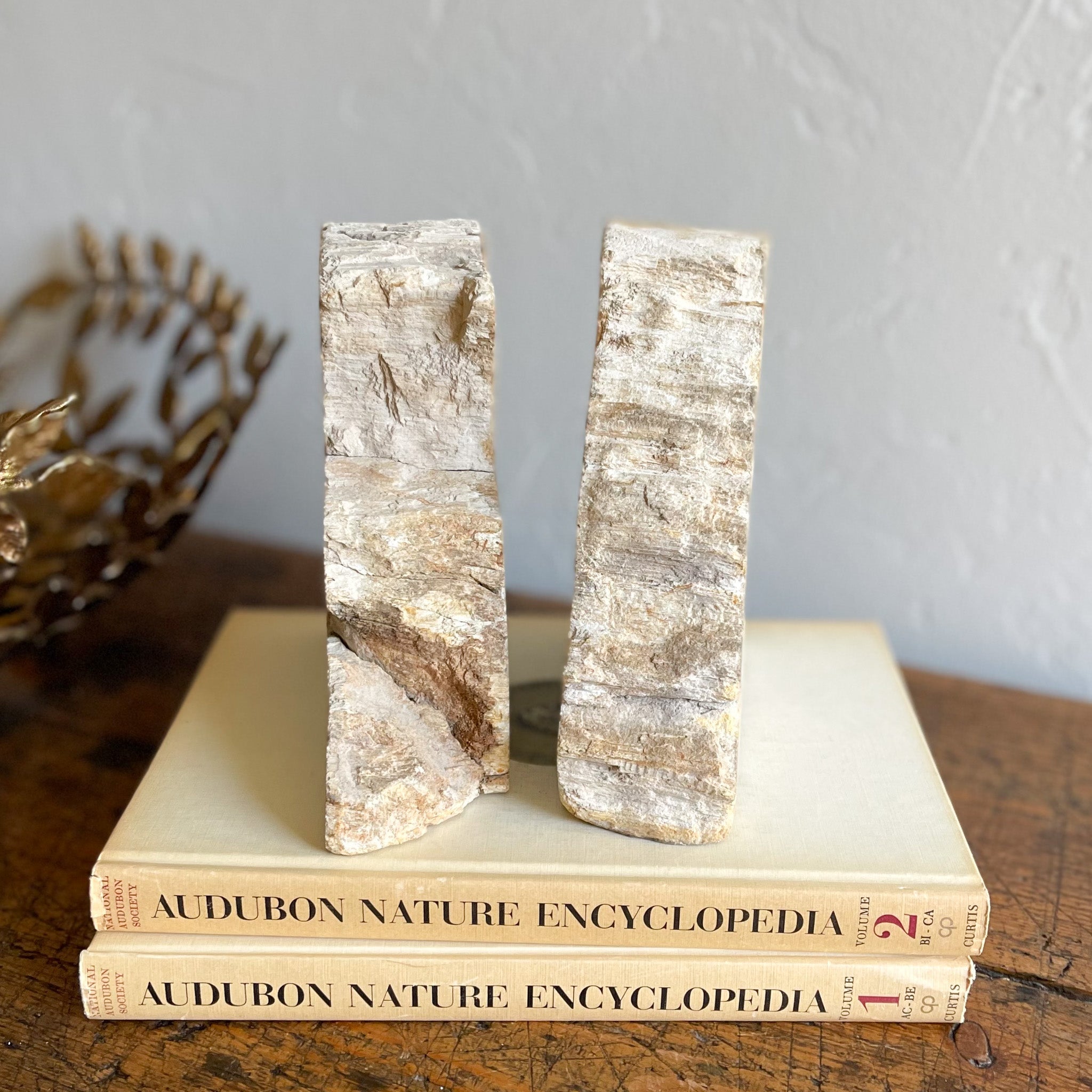 petrified wood bookend pair