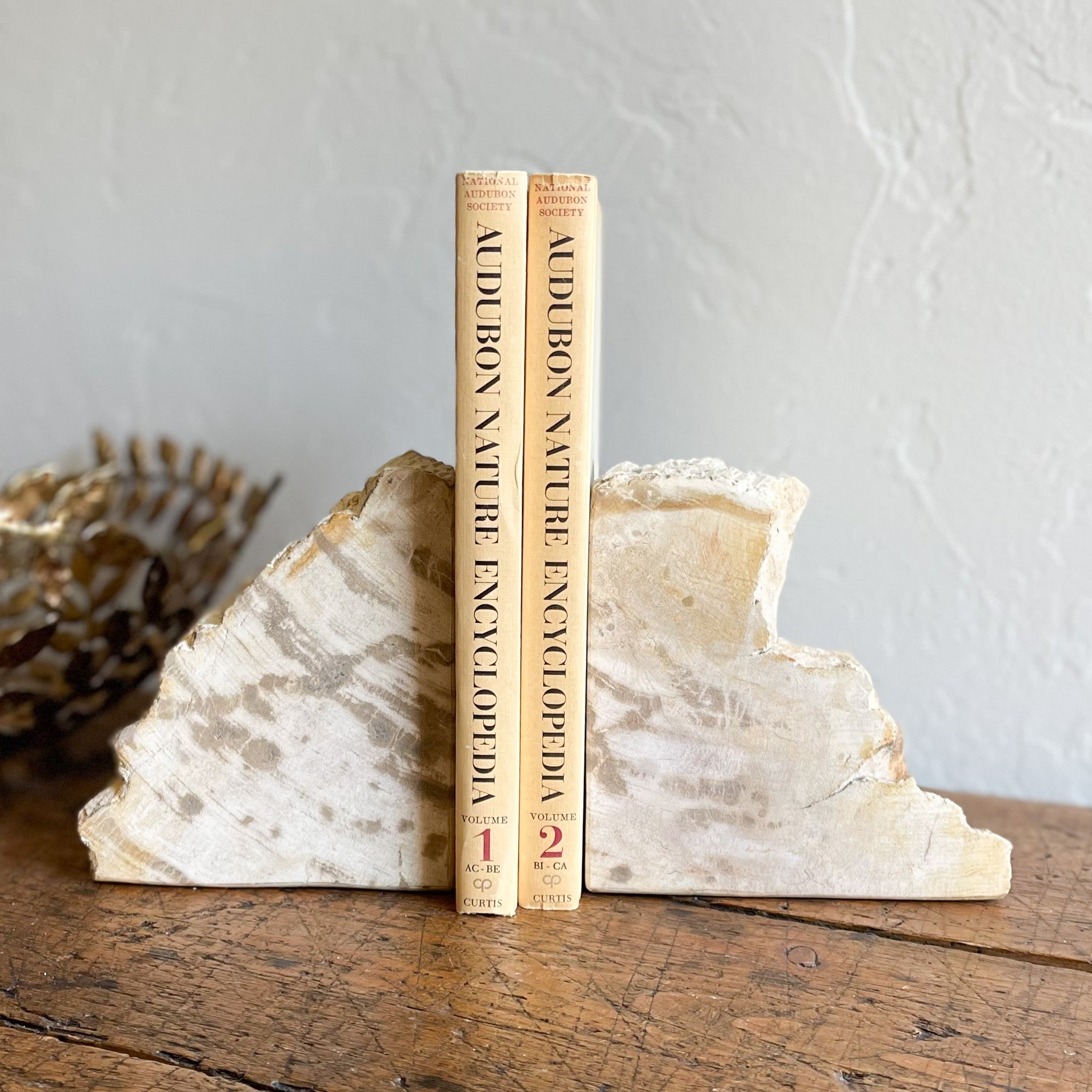 natural bookends