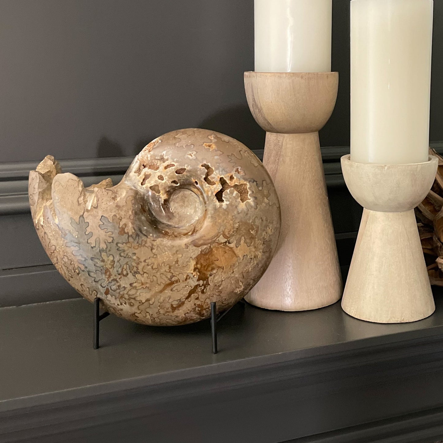 Polished Moroccan Ammonite - Rare Earth Mercantile