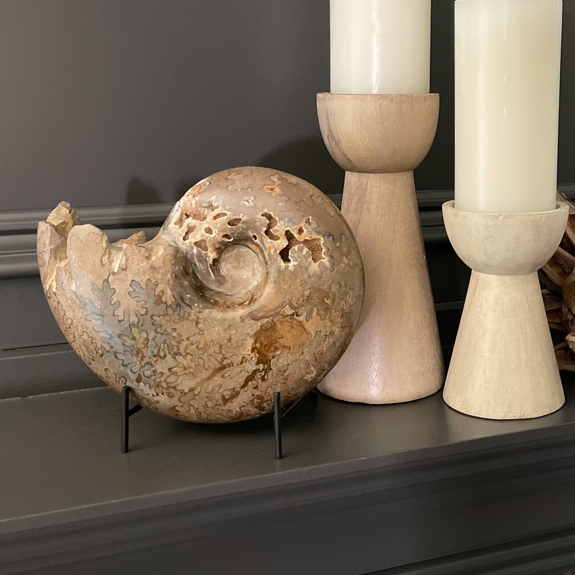 Polished Moroccan Ammonite - Rare Earth Mercantile