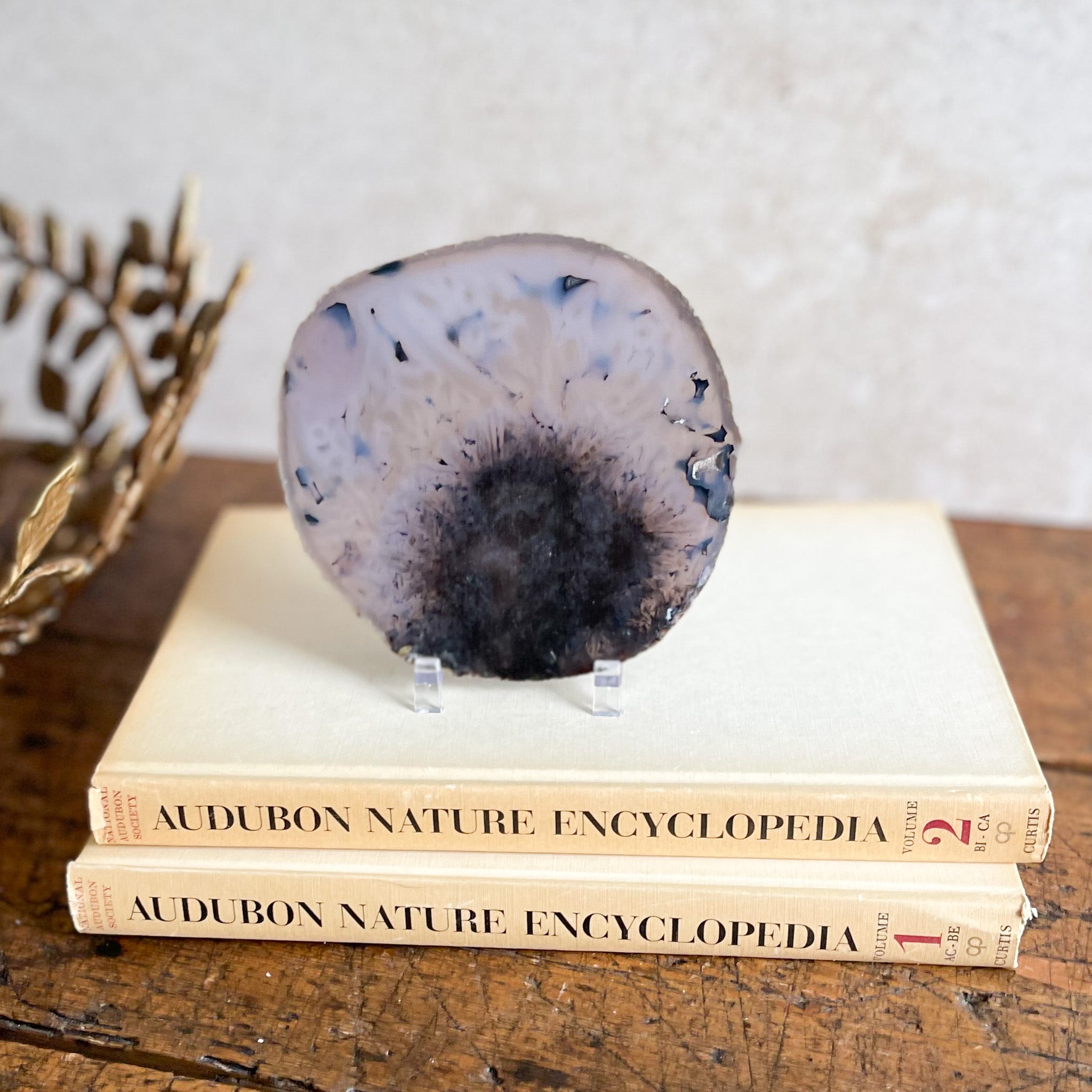 blue agate slice, natural home accents